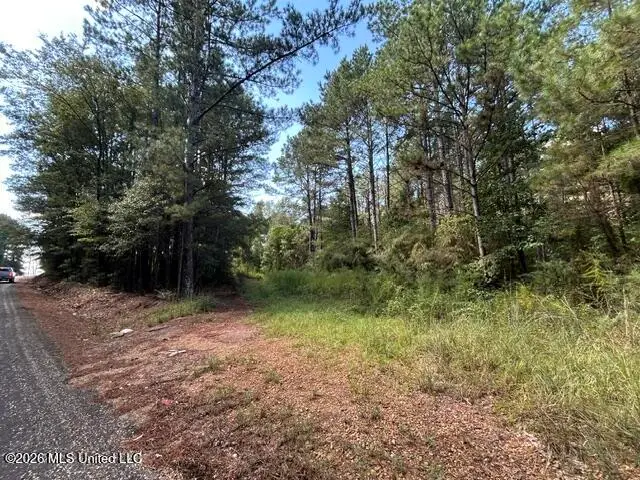 Irene Road, Summit, MS 39666 - #1