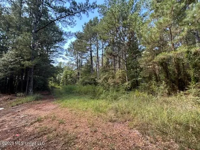 Irene Road, Summit, MS 39666 - #2