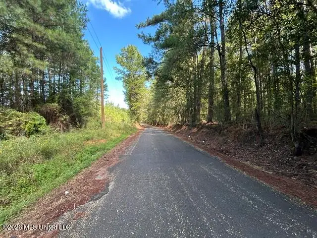 Irene Road, Summit, MS 39666 - #3
