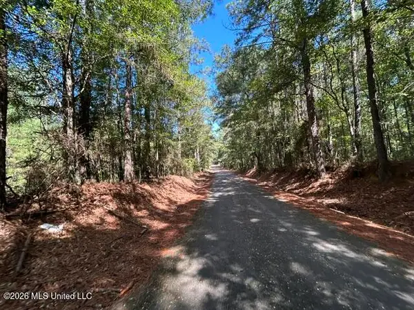 Irene Road, Summit, MS 39666