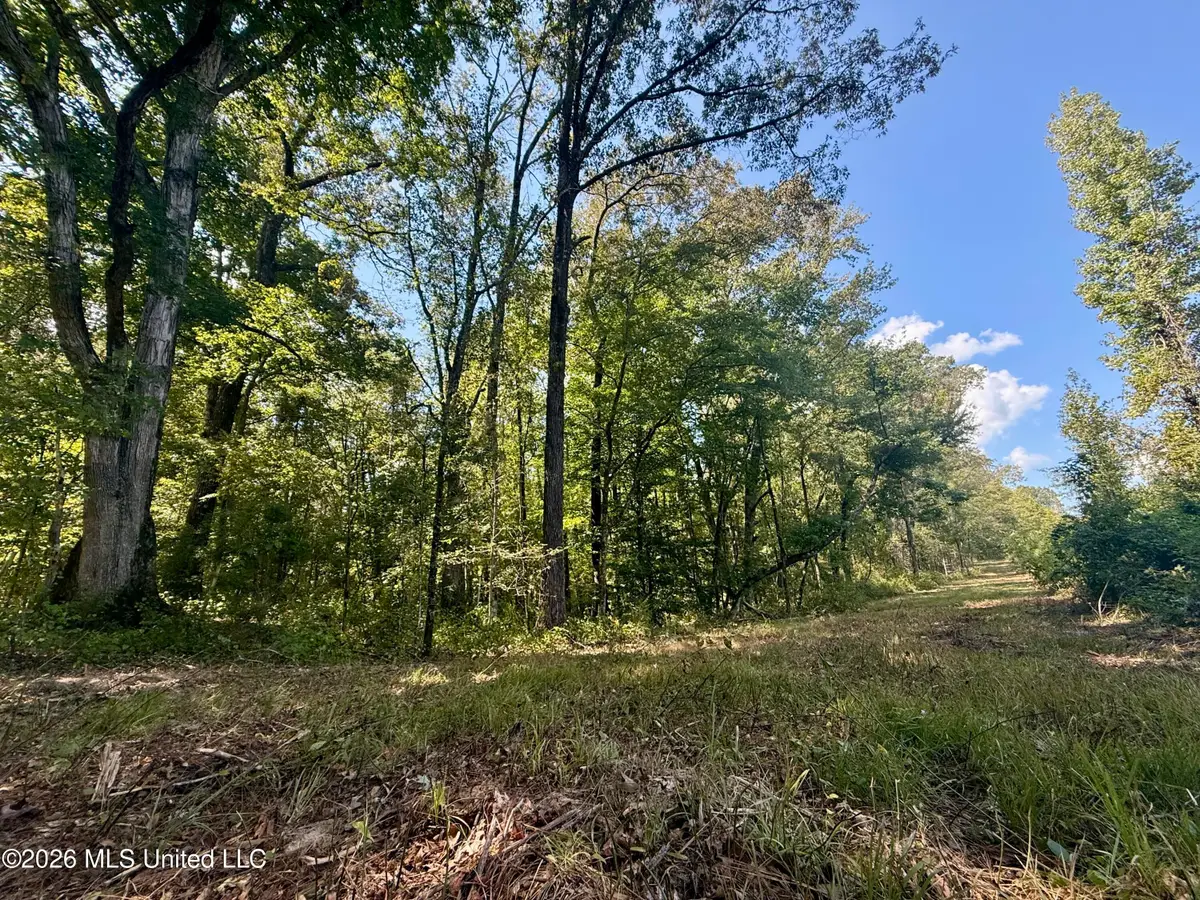 Cooper Road, Camden, MS 39045 - #1