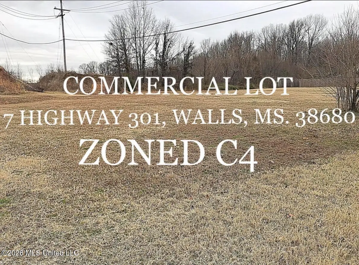 7 Highway 301, Walls, MS 38680 - #1