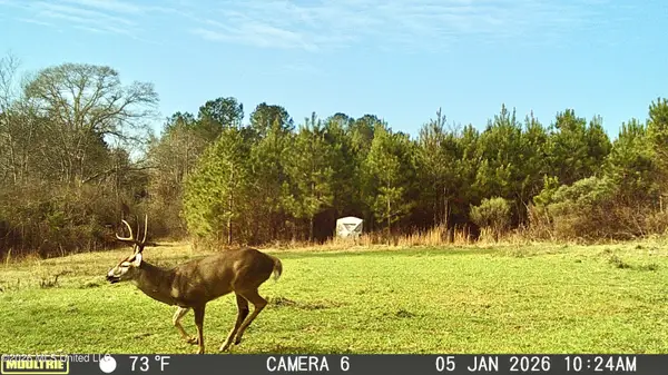 Jayess Road, Jayess, MS 39641