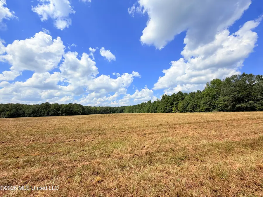 Smith Avenue Road, Carthage, MS 39051 - #3