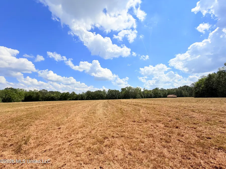 002 Smith Avenue Road, Carthage, MS 39051 - #3