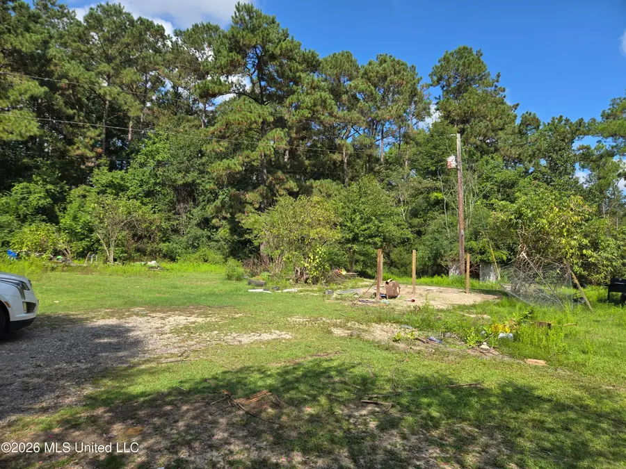 247 Lakeside Drive, Carriere, MS 39426 - #2