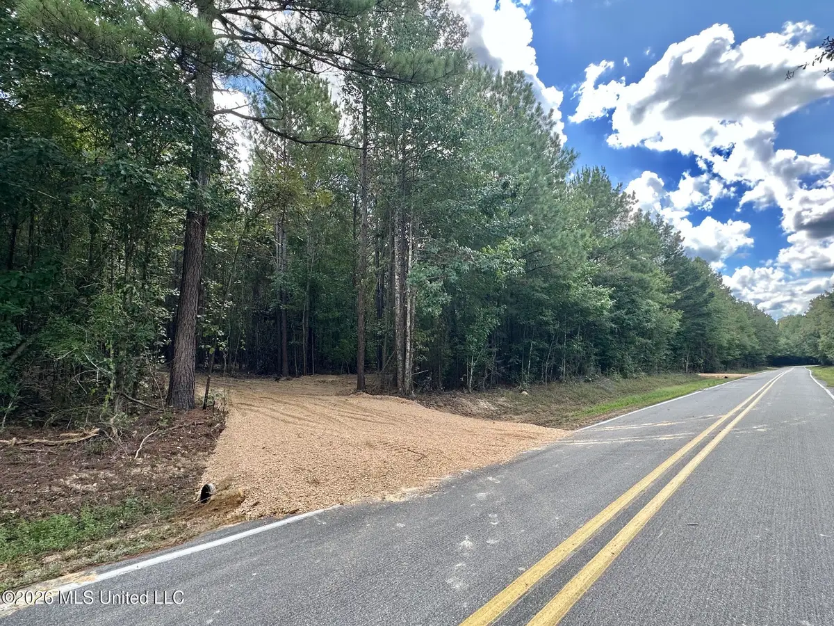 1 Clara Foote Rd, Braxton, MS 39044 - #1