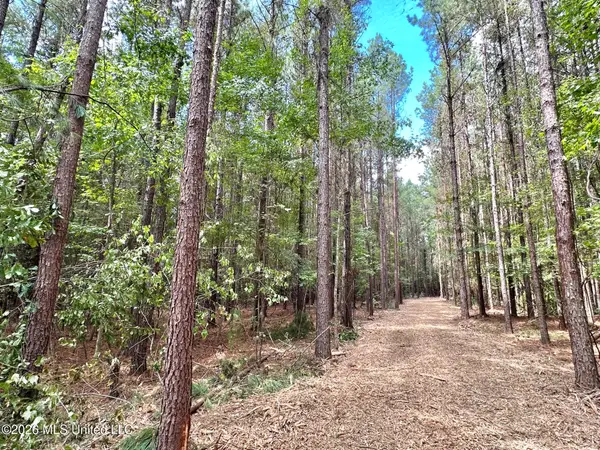 2 Clara Foote Rd, Braxton, MS 39044