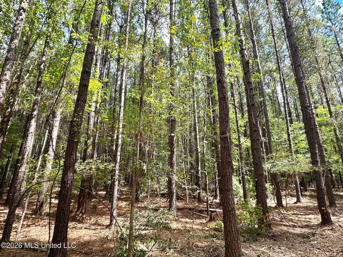 3 Clara Foote Rd, Braxton, MS 39044 - #1