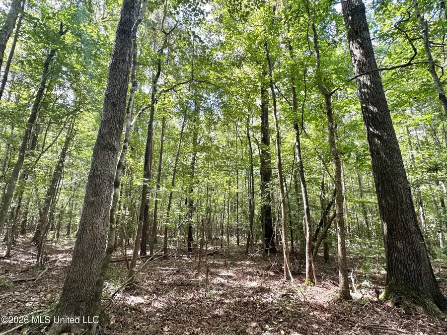 3 Clara Foote Rd, Braxton, MS 39044 - #3