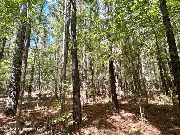 4 Clara Foote Rd, Braxton, MS 39044