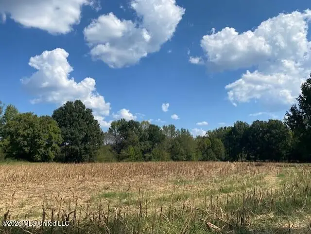2770 Mississippi 305, Coldwater, MS 38618 - #1