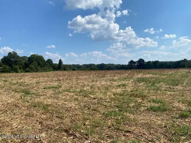 2770 Mississippi 305, Coldwater, MS 38618 - #2