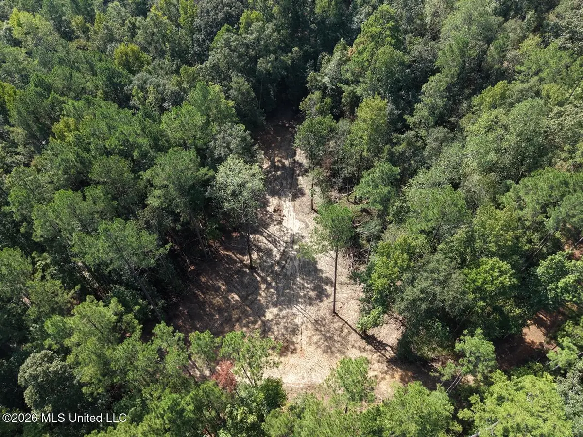 4 Smyrna Road Sw, Bude, MS 39630 - #1