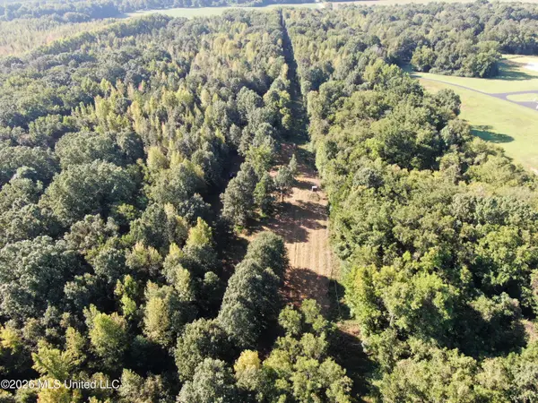 390 Old Panola Rd, Sardis, MS 38666