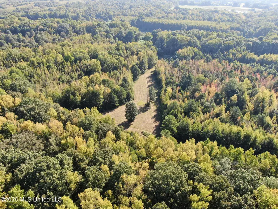 390 Old Panola Rd, Sardis, MS 38666 - #3