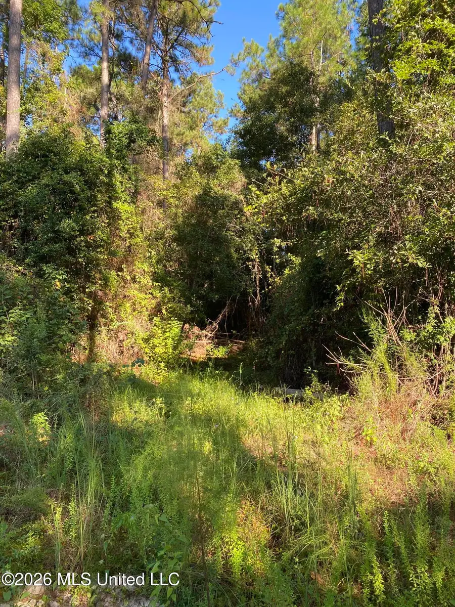 10 Mile Church Road, Perkinston, MS 39573 - #2