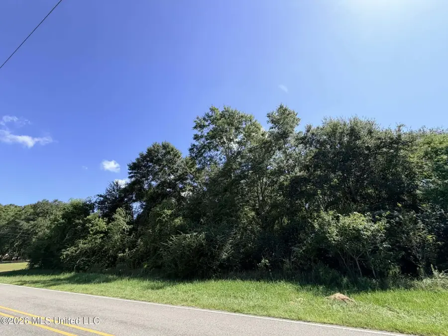 2 Acres Ellis Hamilton Road, Moss Point, MS 39562 - #3