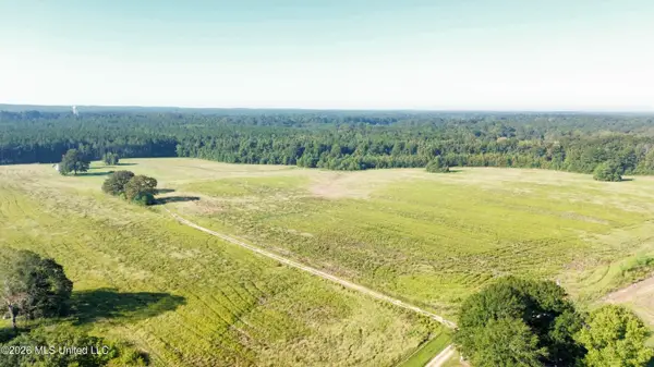 132 Collins Road, Florence, MS 39073