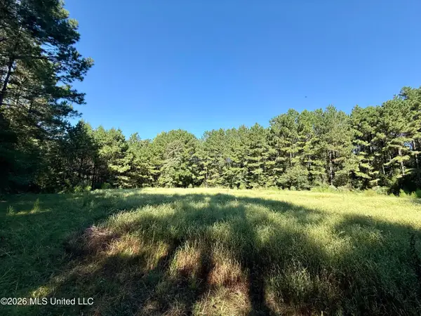 Burt Jordan Road, Smithdale, MS 39664