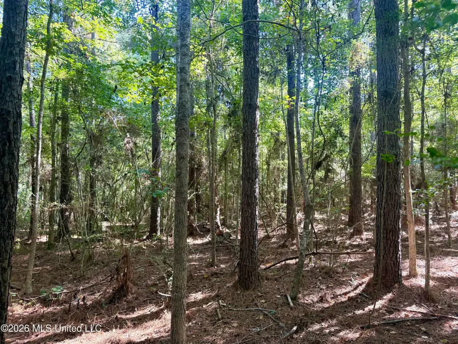 Burt Jordan Road, Smithdale, MS 39664 - #2