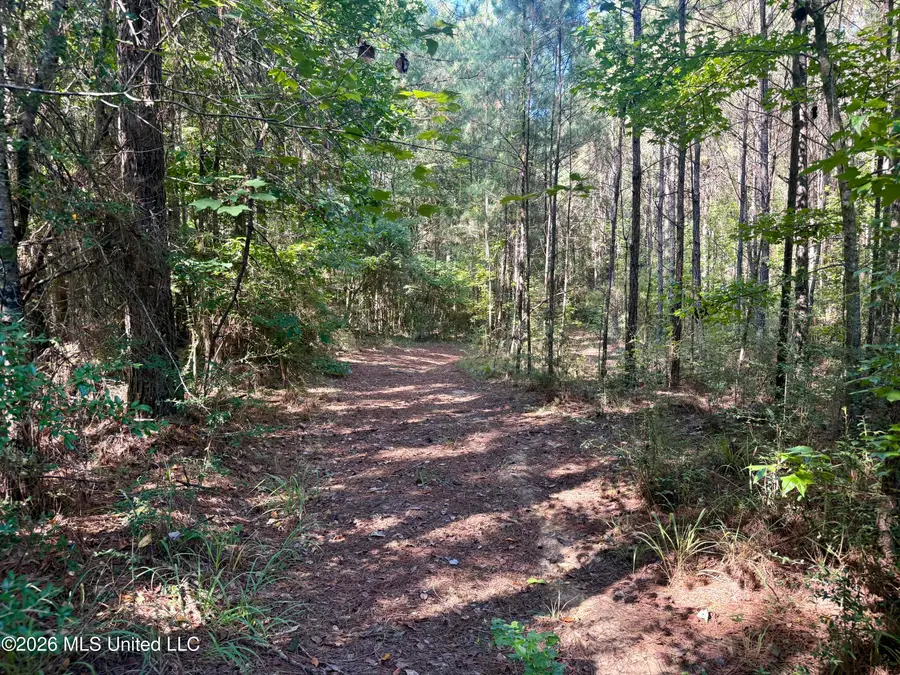Burt Jordan Road, Smithdale, MS 39664 - #3