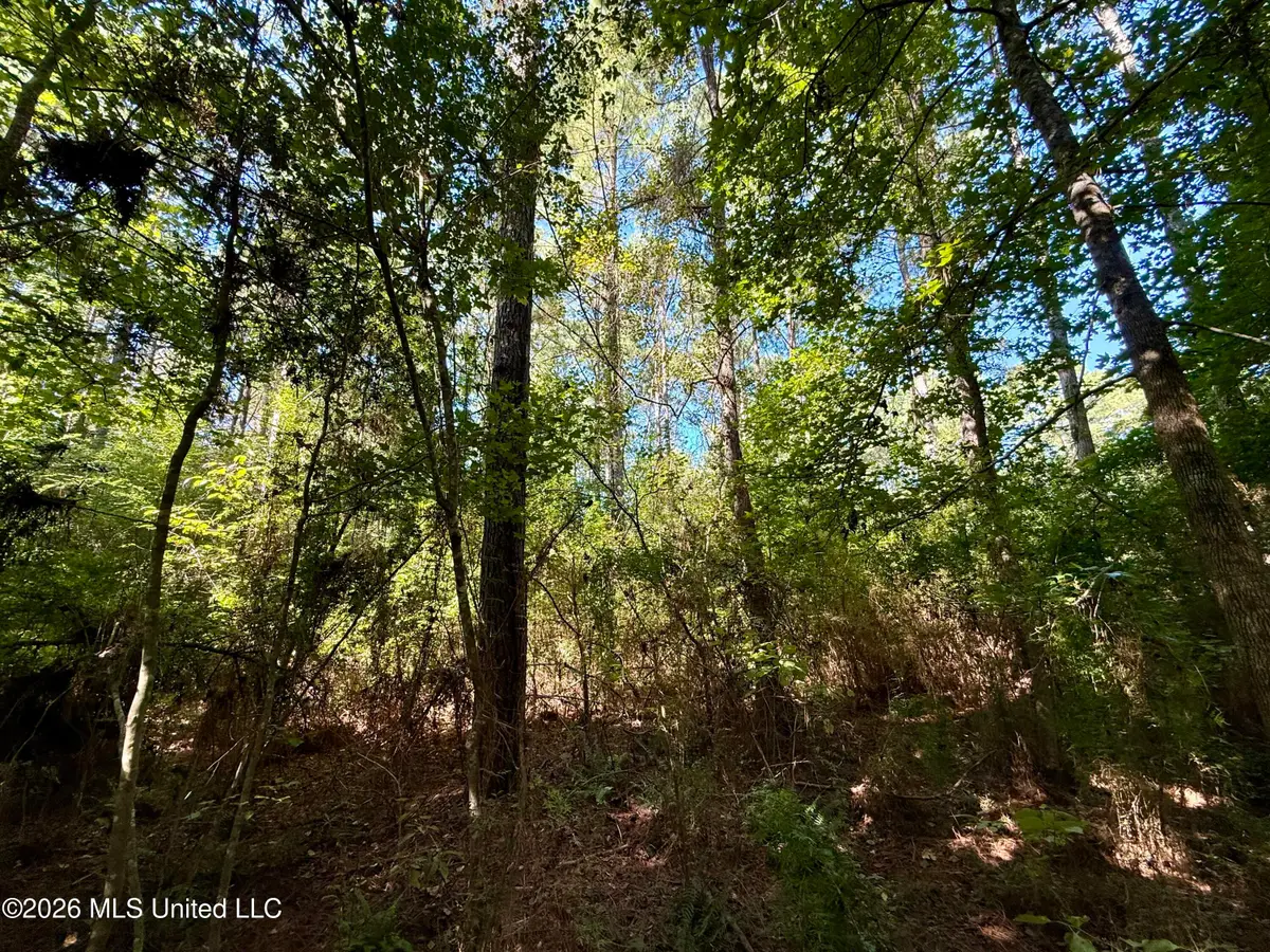 Dogwood Ln Se, Smithdale, MS 39664 - #1