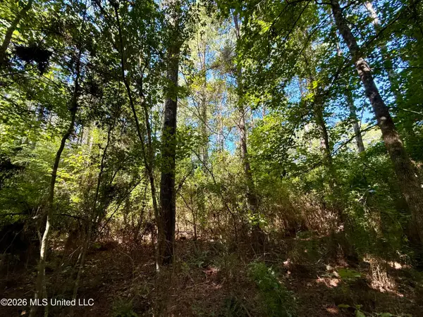 Dogwood Ln Se, Smithdale, MS 39664