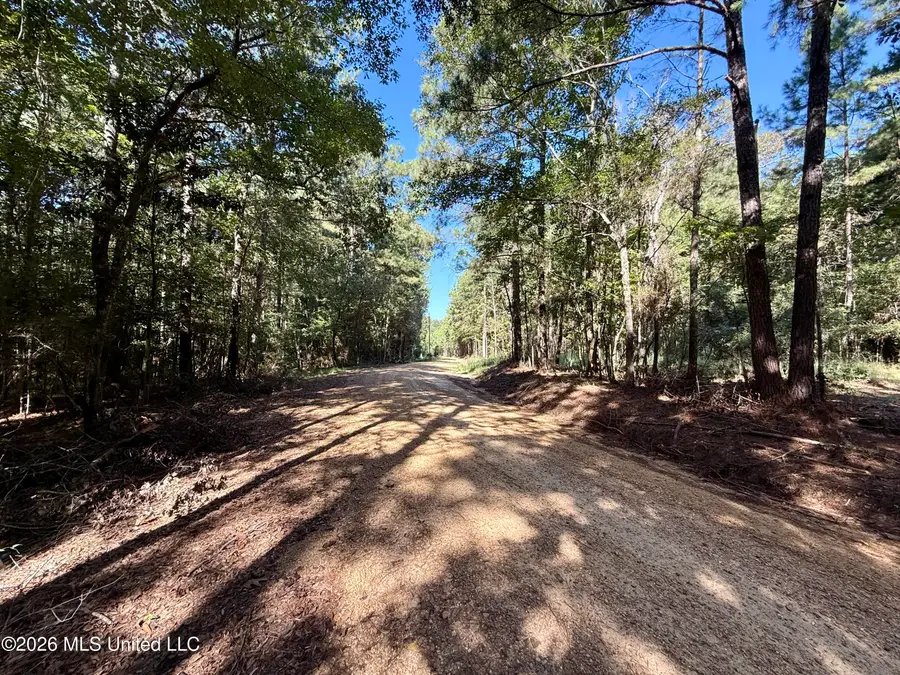 Dogwood Ln Se, Smithdale, MS 39664 - #2