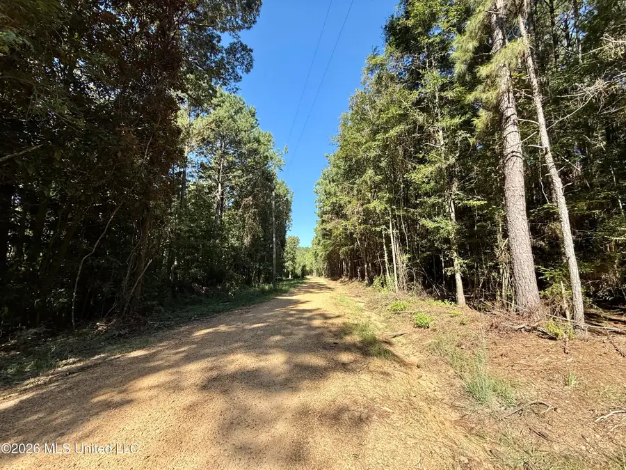 Dogwood Ln Se, Smithdale, MS 39664 - #3