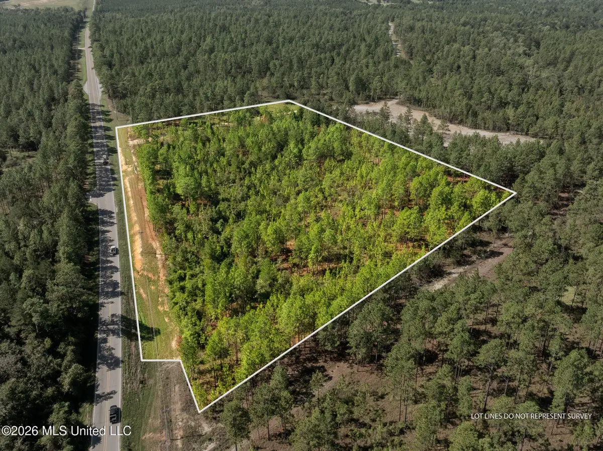 Hwy 11, Purvis, MS 39475 - #1