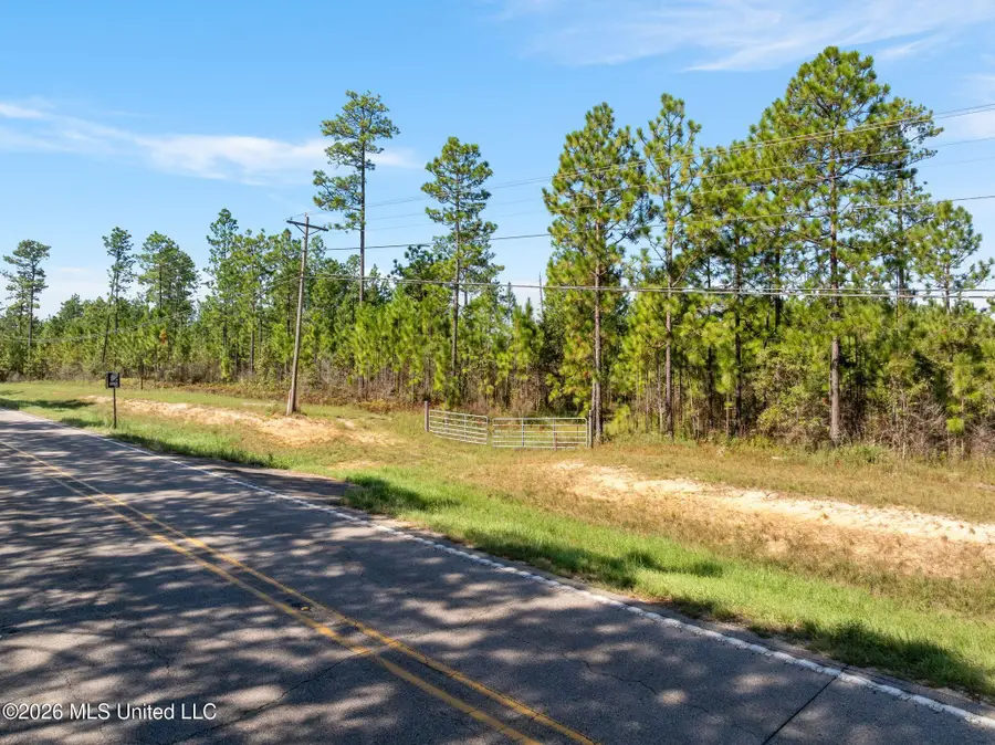 Hwy 11, Purvis, MS 39475 - #2