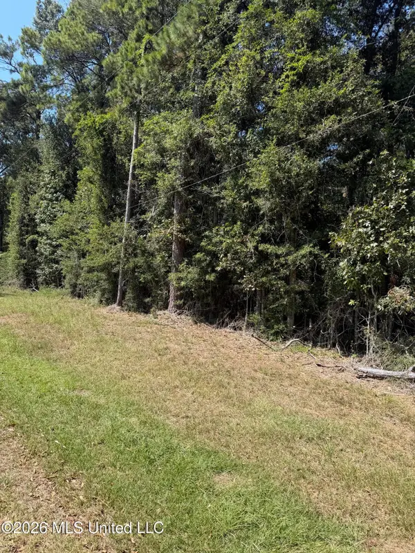 Adams Road, Smithdale, MS 39664