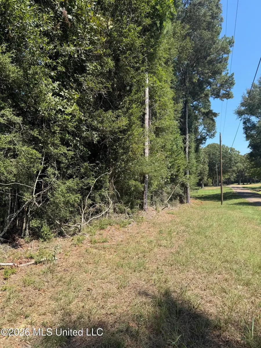 Adams Road, Smithdale, MS 39664 - #3