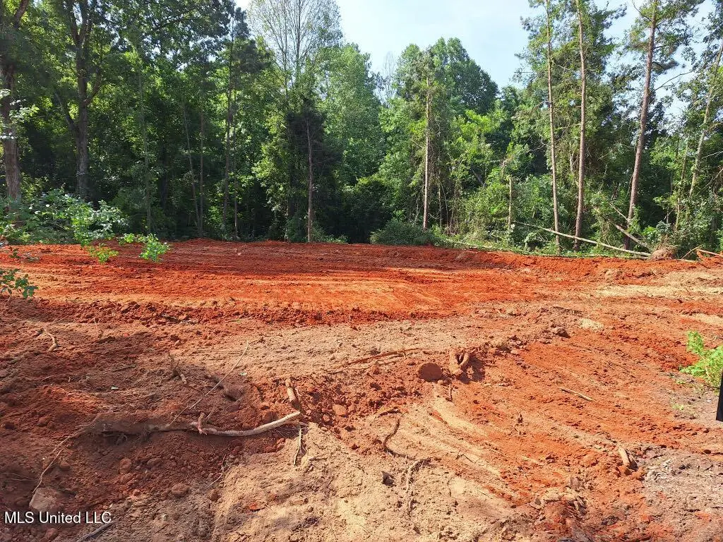 1063 Dry Creek Road, Mendenhall, MS 39114 - #1