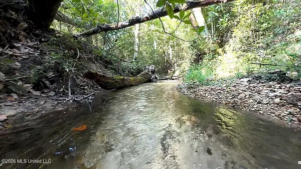 Cephas Smith Lane, Jayess, MS 39641