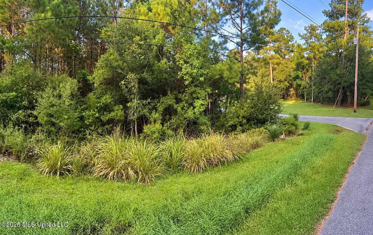 Bayou Drive, Bay Saint Louis, MS 39520 - #1