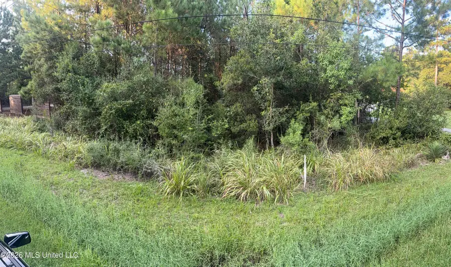 Bayou Drive, Bay Saint Louis, MS 39520 - #2