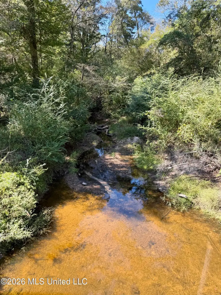 Rock Hill Church Road, Sumrall, MS 39482 - #2