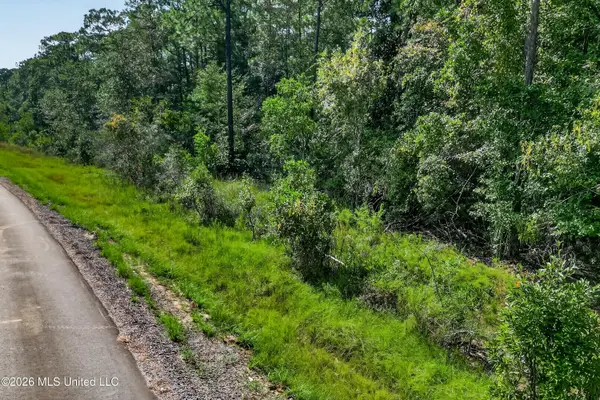 Aila Street, Diamondhead, MS 39525