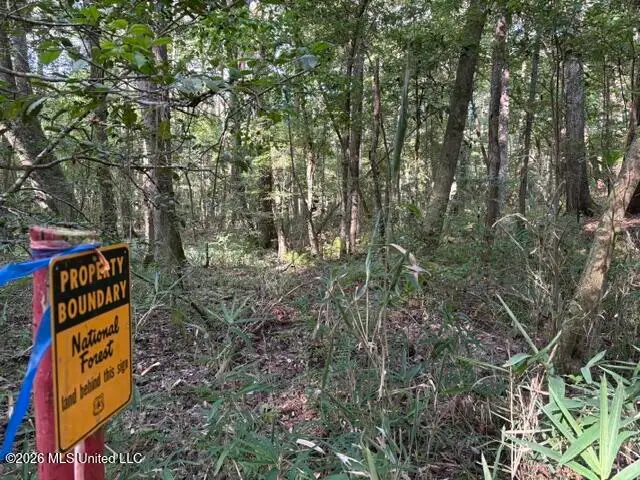 Smith County Road 581, Raleigh, MS 39153 - #1