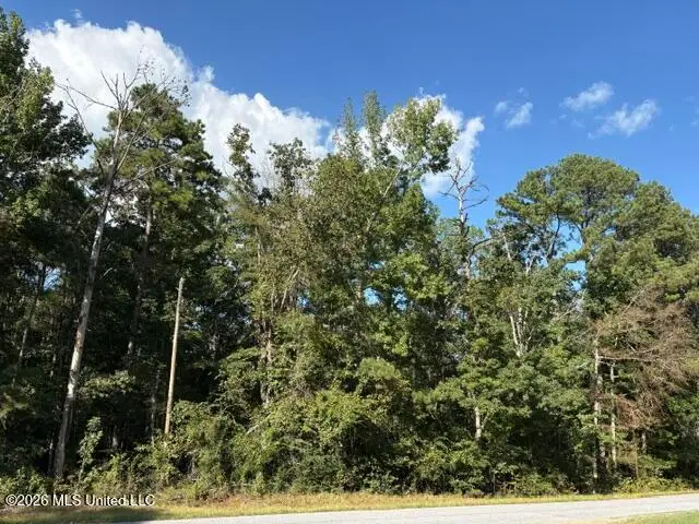 Smith County Road 581, Raleigh, MS 39153 - #3