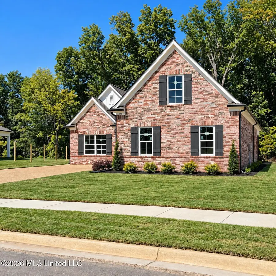 6448 Chloe Way, Walls, MS 38680 - #2