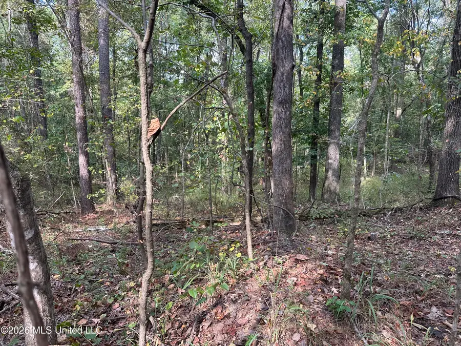 329 Big Man Road, West, MS 39192 - #2