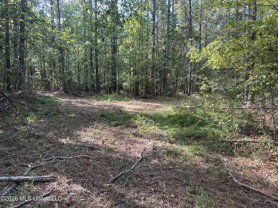 329 Big Man Road, West, MS 39192 - #3