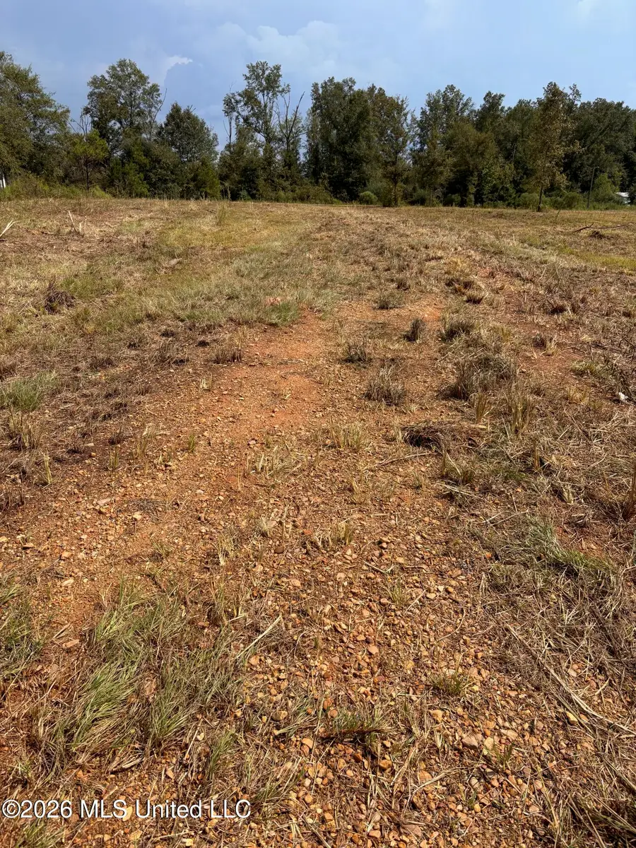 3170 Bahalia Road, Wesson, MS 39191 - #3