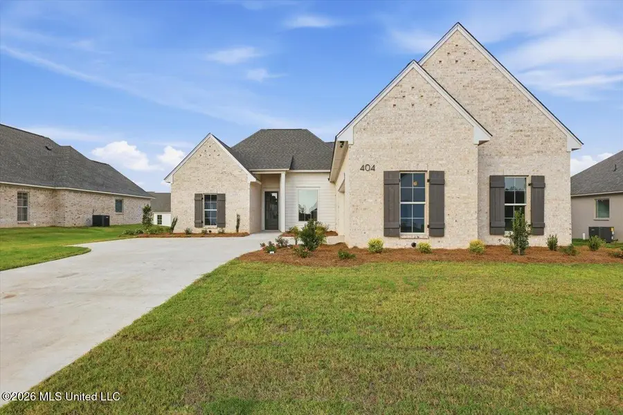 404 Erickson Lane, Madison, MS 39110 - #3