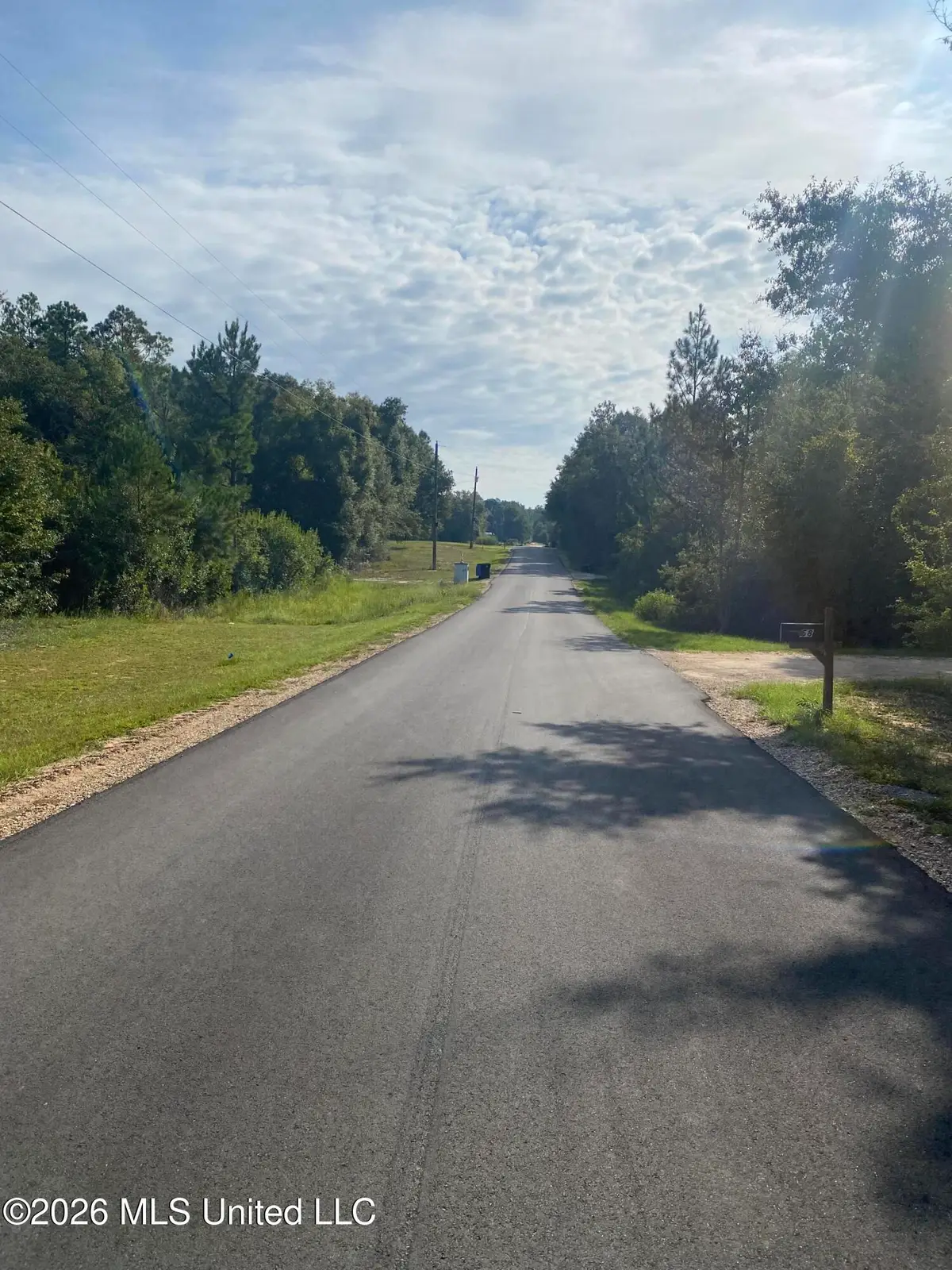 Grady Diamond Road, Perkinston, MS 39573 - #1