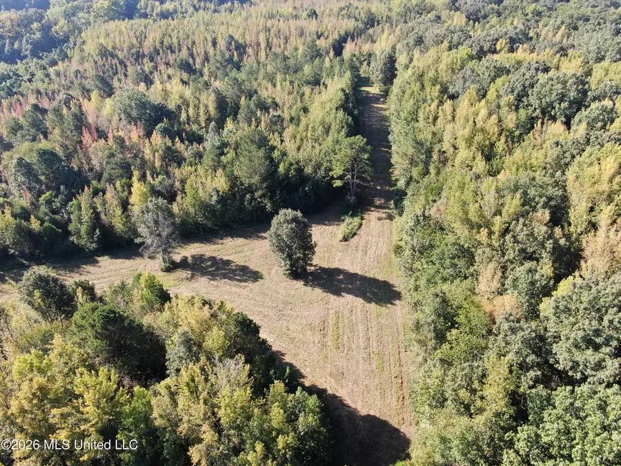 390 Old Panola Rd, Sardis, MS 38666 - #2
