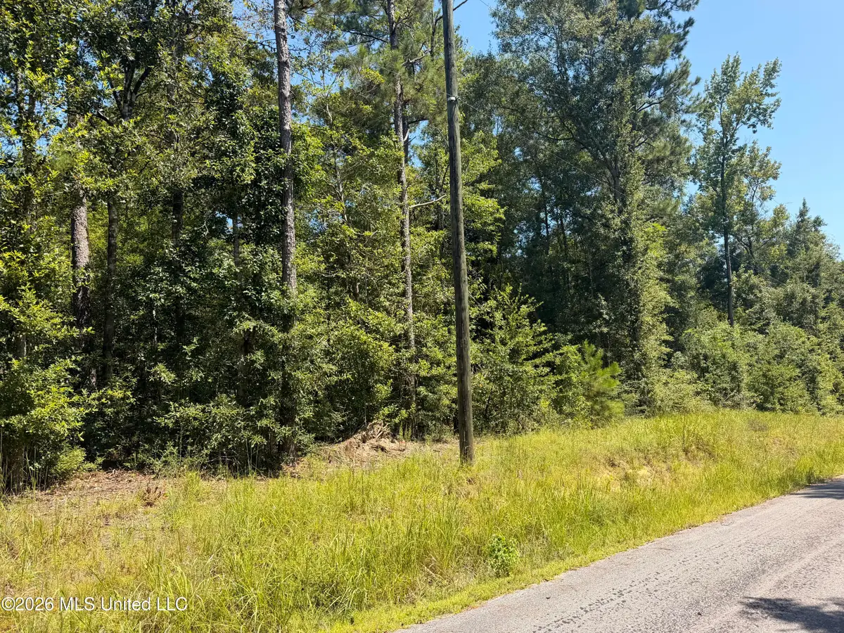 Bobcat Lane, Lucedale, MS 39452 - #1